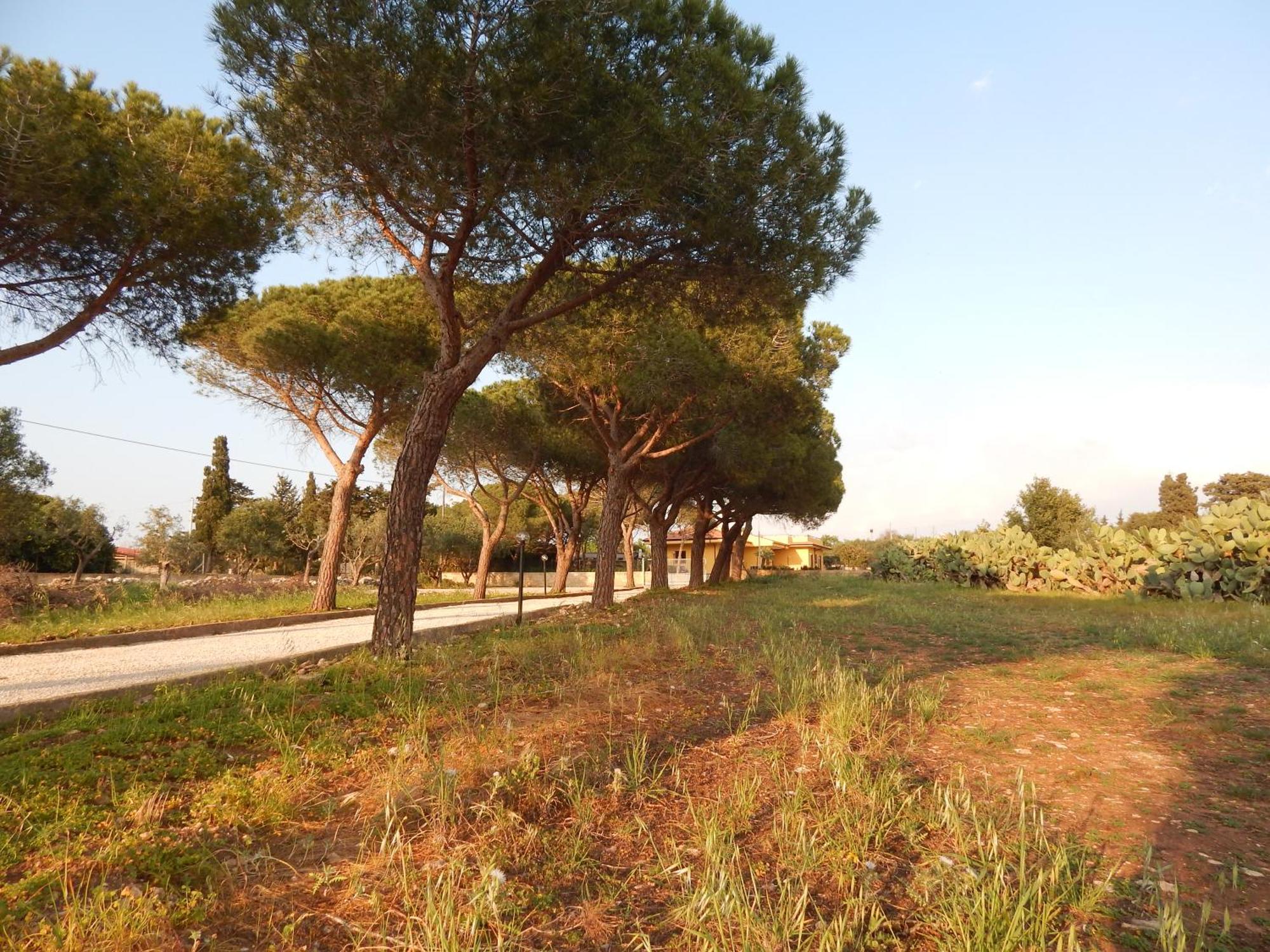 Turtle Island Apartments Santa Croce Camerina Exterior foto