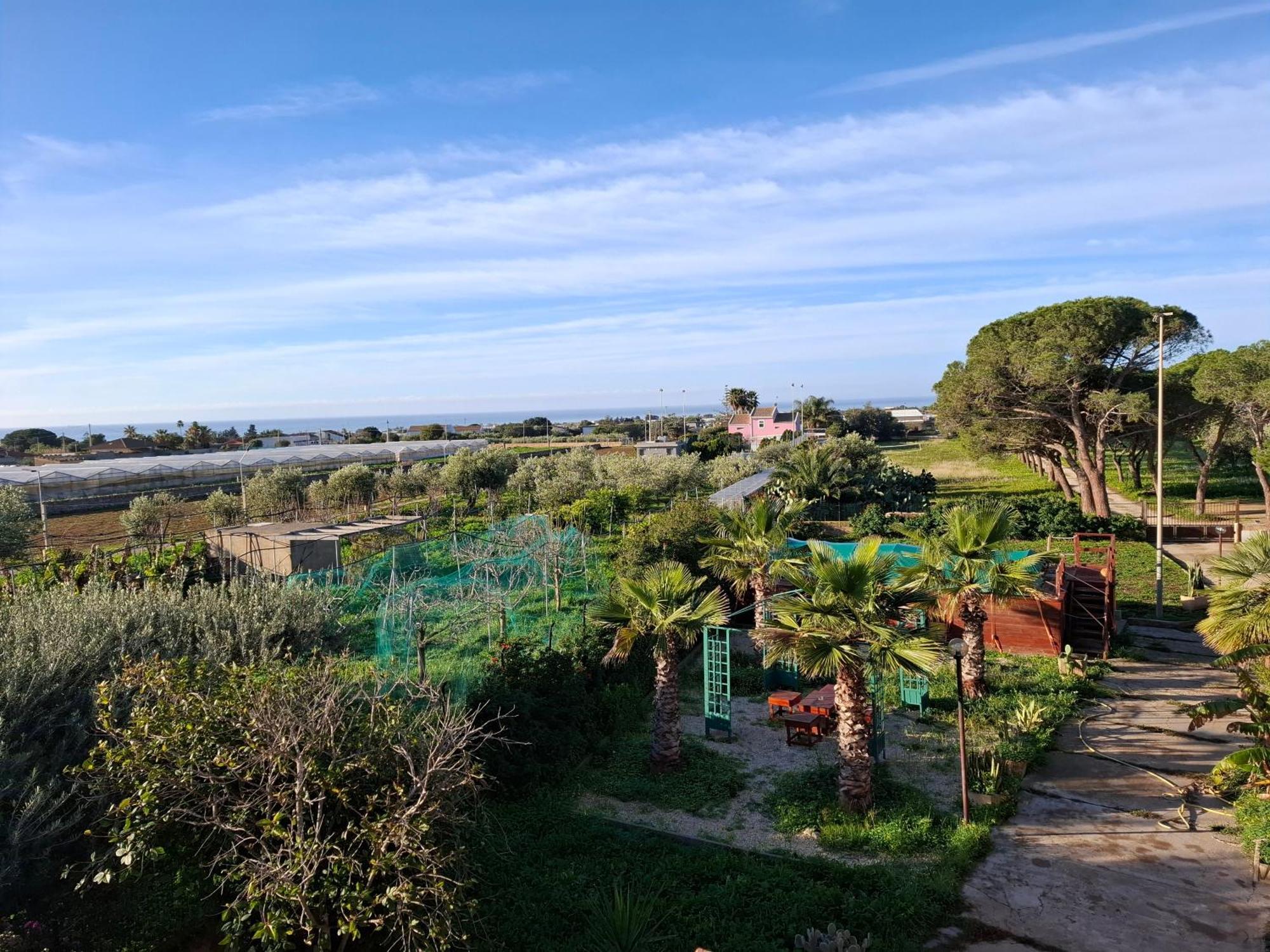 Turtle Island Apartments Santa Croce Camerina Exterior foto